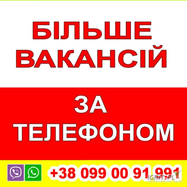 /images/posts/2025/04/2000651/txAnKpOjhAOfhVtsQOkEBuFNf6nVUrAAF84hsUlh.jpeg