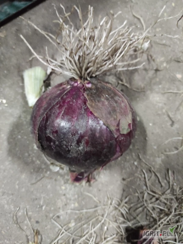 /images/posts/2025/06/2023683/xnM67dTXDcqACY0oKElfZHVGMZ4AaGYizztD4Npl.jpeg