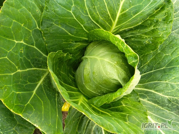 /images/posts/2025/05/2011345/Io8LECc7NdMOiHQBBVHmNLmVWFWGSJTzdy79G9Hw.jpeg