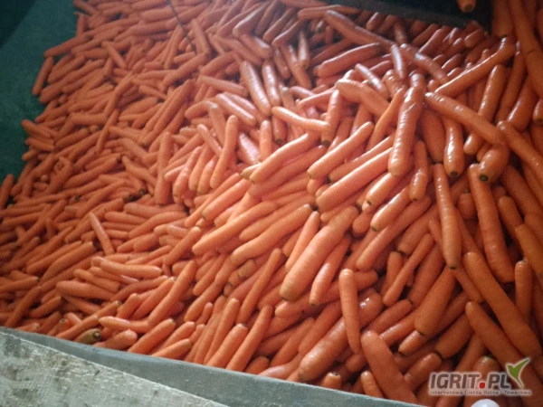 /images/posts/2025/05/2009851/2dKFwXDFoypLYWIbnfNMAWHtyDUY9p7tcDSPe9F9.jpeg