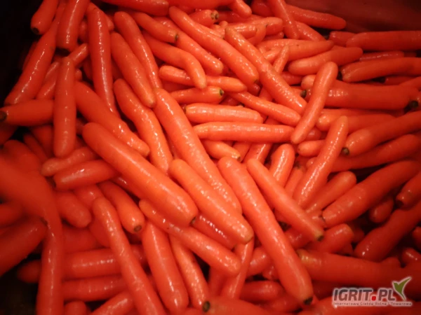 /images/posts/2025/05/2009851/RZT65WgDQmtjVvxYdECSfIxUtTOotLeaWGfq18x3.jpeg