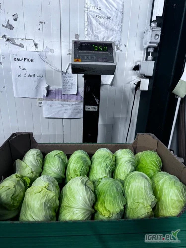 /images/posts/2025/02/1972505/unmx3qd2wz7Bgqf6mVnVRnOBuqogLl2jHVcbNbx7.jpeg
