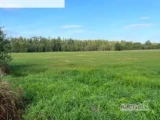 Sprzedam działkę rolną o powierzchni 70 arów znajdująca się w miejscowości Wola Zabierzowska gmina Niepołomice działka znajduje...