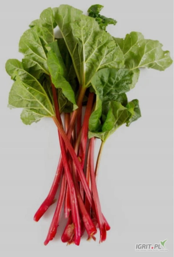 /images/posts/2025/04/2001292/82K6RWygqVqbdbRkLma3hl4DLnjufna57sypkMaP.jpeg