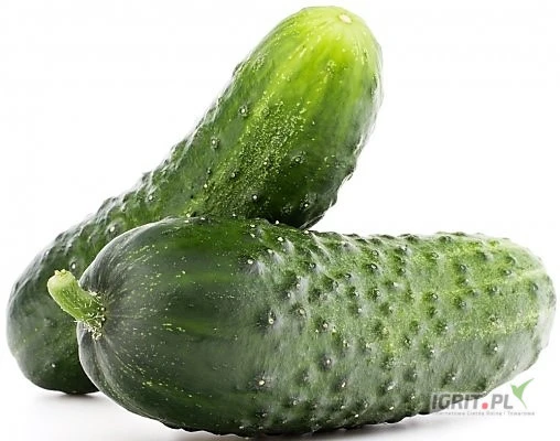 /images/posts/2025/06/2023909/lkWS0rgUlXy3OSvVi0Rde2vDHXFAv6Badefnlhz0.jpeg