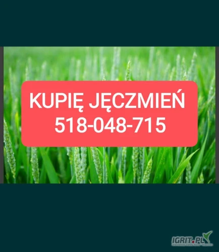 /images/posts/2025/02/1973162/4v0J0TPoK4LfUH7bOizCpTmDvZwjBadrX4RJYn9S.jpeg