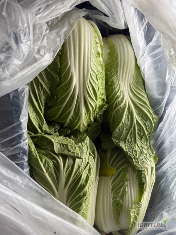 /images/posts/2025/04/2001571/40tVAAN8TuosyOmBLVNs9pIKXvdE6m9wouZB38a4.jpeg