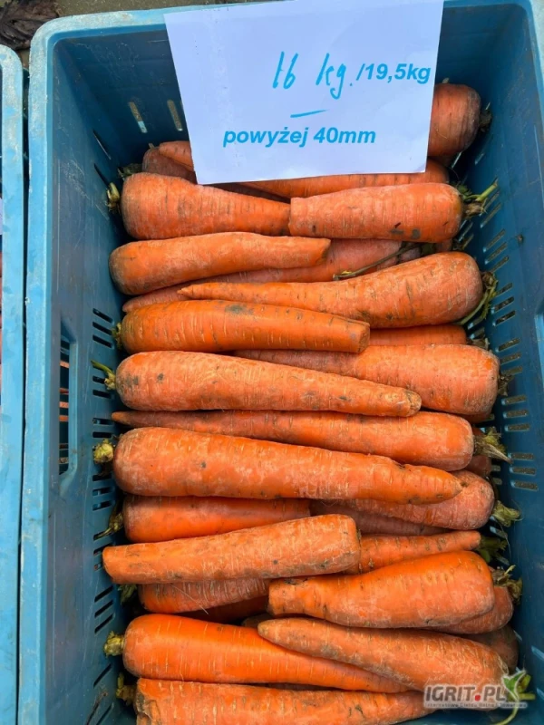 /images/posts/2025/04/2001408/tpjcznB1LwxA3CAaKAcwO6La3JpencanWuS95tyA.jpeg