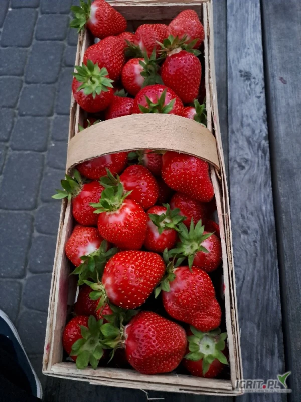 /images/posts/2025/06/2024800/wjD2x7ctlVhhIX76jk6VUYwCNLC1e7j260uc8bDR.jpeg