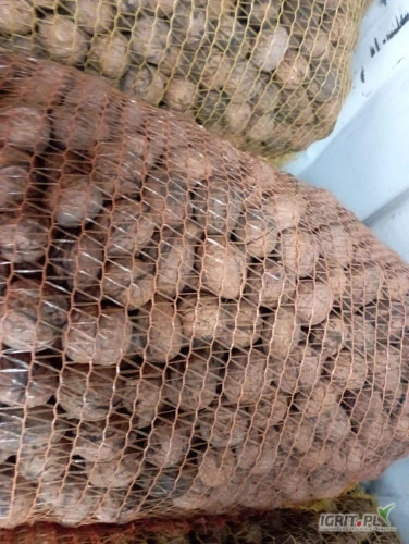 /images/posts/2024/12/1947429/PtnA3IIBQsyeuRc4QAbds4lLUB7QcREuHIoJ9xOo.jpeg