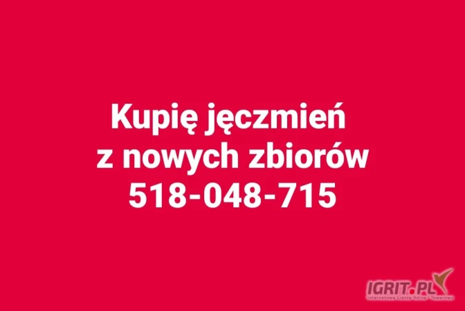 /images/posts/2025/06/2026839/hgEjBsy2AjH9vya1bhbRq0q9VuBghDCymjTS6Rio.jpeg