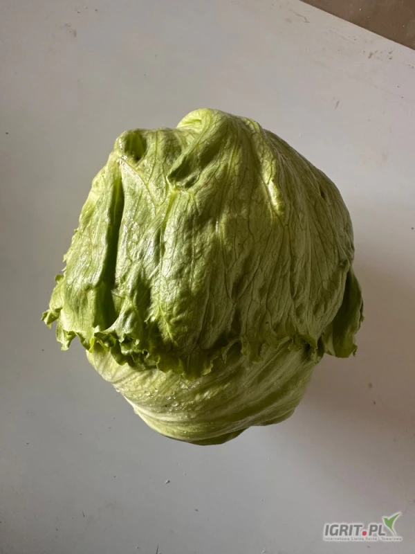 /images/posts/2025/06/2027894/3Hs5Ehd1UUUvUNYcaY0fbZjXDBU72HI1xD1vJKI2.jpeg