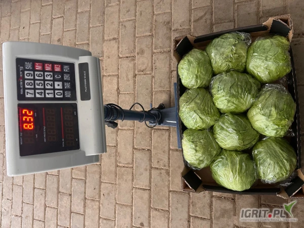/images/posts/2025/06/2027894/WtK5MTouXNTk5iEAKpLtr4a4GFofpMN0RBvgud6J.jpeg