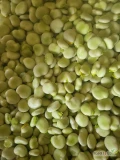Sprzedam bób codziennie po 500 kg schłodzony odmiana rambos opakowanie do uzgodnienia 