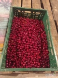Witam, sprzedam wiśnie świeżo zerwana 12 kg po 10 zł , najlepiej odbiór osobisty. Zapraszam do kontaktu 783171042