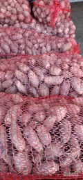 Sprzedam buraki odpadowe i drobne na tą chwilę dostępne około 400 kg 