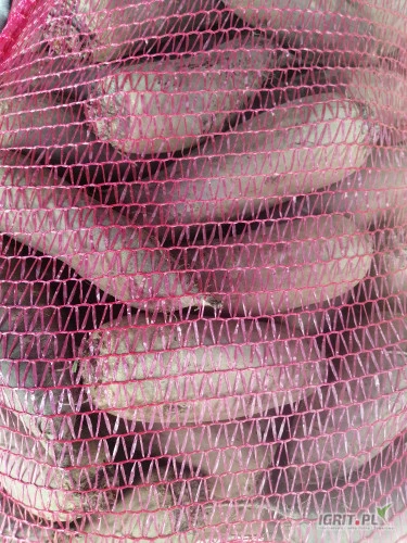/images/posts/2024/07/1879288/ohVp3BuhlIuGYxSgDPQ9EG0p4WowQiszyWoEgJh9.jpeg