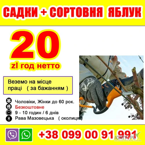/images/posts/2025/01/1961963/ugPbA14fdb0eJe9LrniUbl5FhejmvrEfFjCLfHJB.jpeg