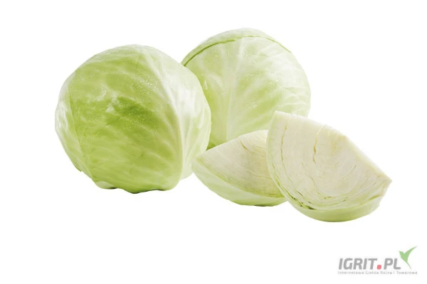 /images/posts/2025/02/1974904/8tkWT3DFcXfQGEtIBUWwlvLUj4sAAfD21jzjxrO7.jpeg