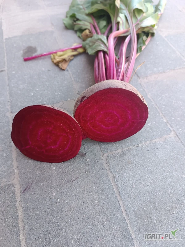 /images/posts/2025/07/2030645/WP7kHBacIU67lKj7aFAiNamewlYKYkWO7xqEqjKg.jpeg