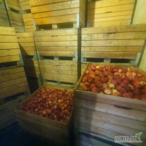 /images/posts/2024/07/1880802/fp7MUkp8EBiiJyOzUrGk3ZB1KeeVcmYCa497ck0x.jpeg