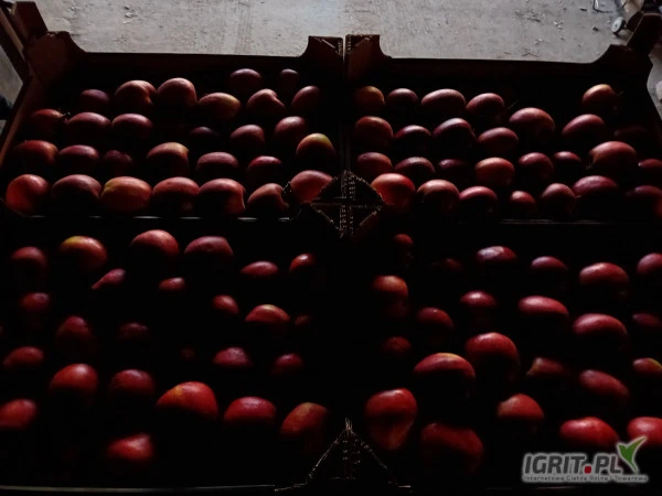 /images/posts/2025/03/1993167/0NxHtcPPJx6ROx480jWksQ1kt0ekhdYp8mUzdtNw.jpeg