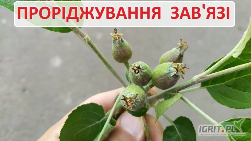 /images/posts/2025/07/2030790/btwhndicABAkDlFukpOeXQEBl5LeIid7gQFoD6wy.jpeg