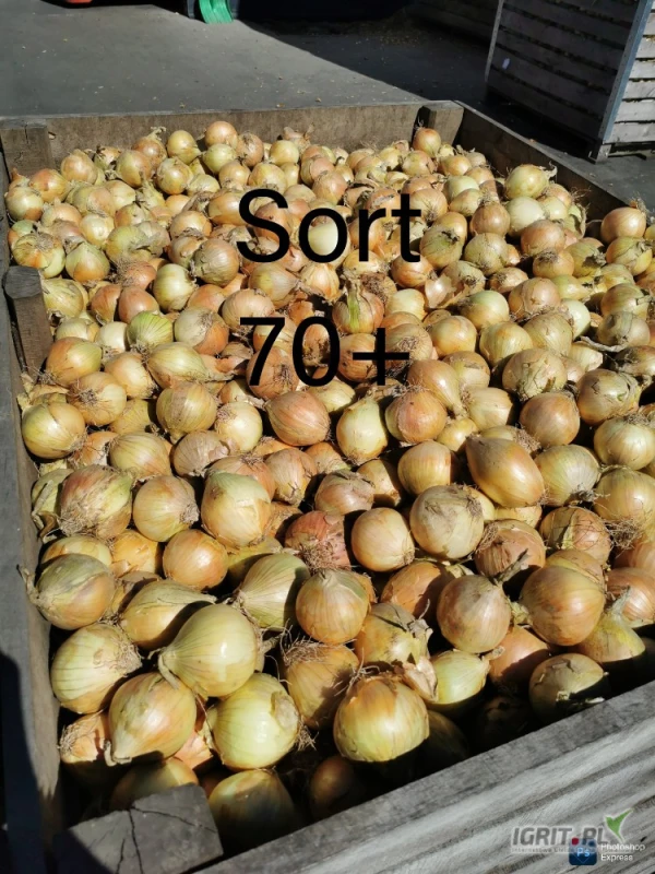 /images/posts/2025/07/2031046/4L1Qi2IN7lvW4nwLXvInGhKKIcjUJLKCXavglti2.jpeg