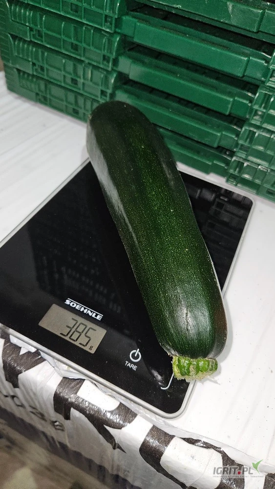 /images/posts/2025/07/2031245/piLdbcndh1aLIjdvh8MyfOKG6Al9t4l9yiHF2tIu.jpeg