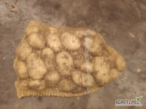 /images/posts/2024/07/1878468/1Nmere75vX9rTLGKtbD1kTrTv73RmT30a0hImVuW.jpeg