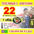 praca w szklarni przy kwiatach