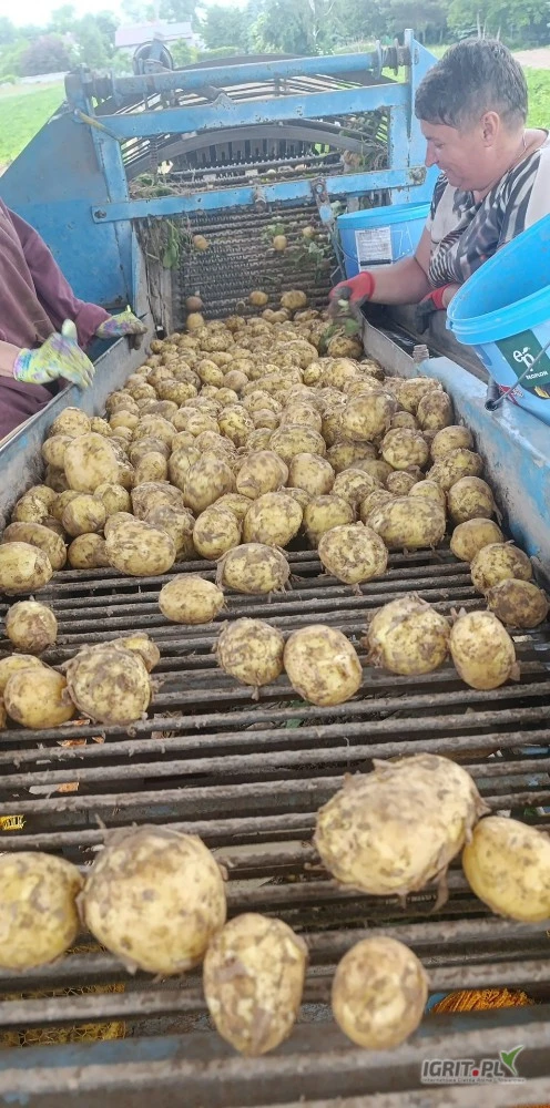 /images/posts/2025/06/2019518/qkCCbwTqy7UBIIzSPA51cnl2uwOzJh7jgHHwArar.jpeg