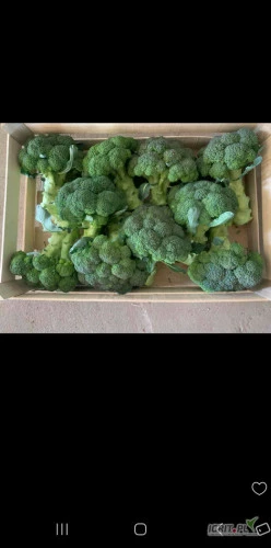 /images/posts/2024/09/1913122/mFXg2dCpdK2QkDmWIiLCuyyJtvkzAmL2jMA2nekd.jpeg