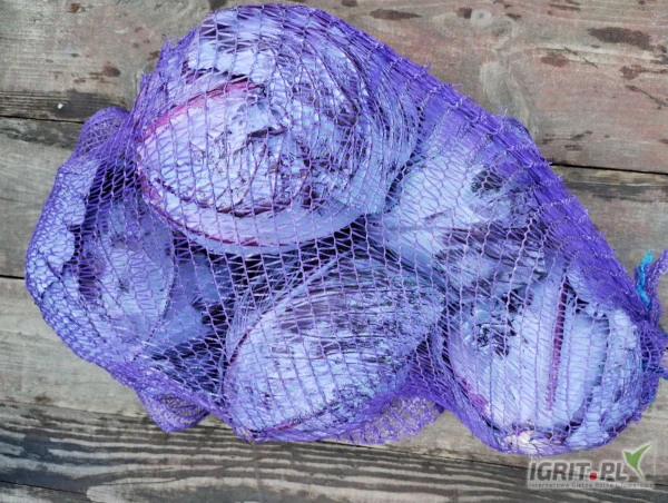 /images/posts/2024/07/1888860/d0soO5KkiW9tdqwgw6gH95jSVMwABATpWzRuFSm8.jpeg