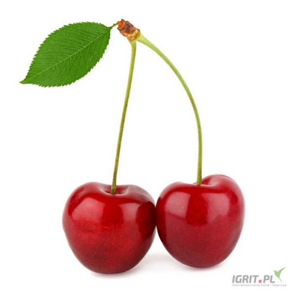 /images/posts/2025/07/2031960/m5kGuQgcE2ToJ6ipGJ1GF2sQbSMRoRhSIVe2XusF.jpeg