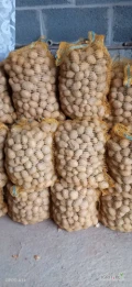 Sprzedam ziemniaki sadzeniaki Soraya cena 1.20/kg