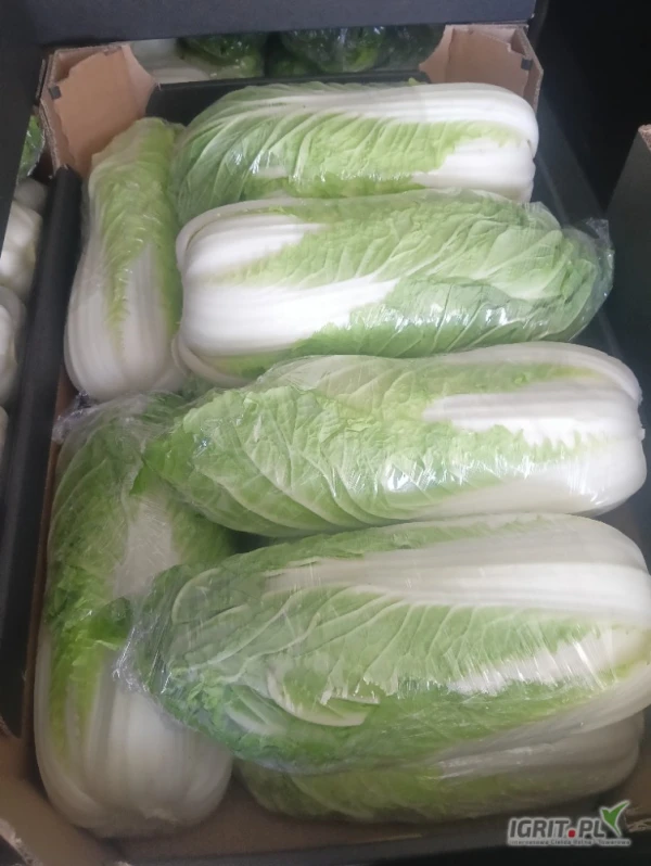 /images/posts/2025/06/2018047/iQfwYSGUejX8MkKjhSw8JV1MjH0srUMKuMpENOFv.jpeg