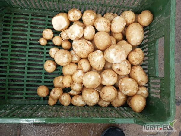 /images/posts/2024/07/1878640/nUnrlDwAN5P7i4M7nsVkswiXGPr2N1gv2o5qGBHh.jpeg