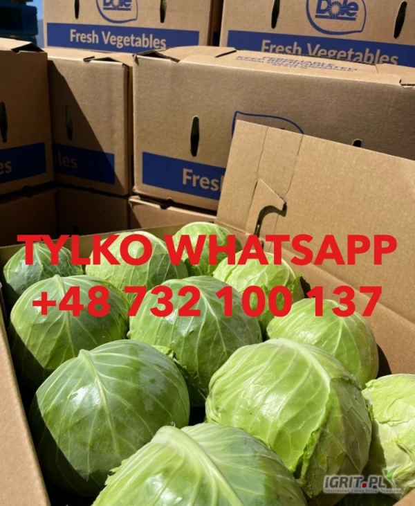 /images/posts/2025/07/2033560/xpJ4fZqF4fkVMJQm8w4eyZs6BIaVORxNa0s3MLHy.jpeg