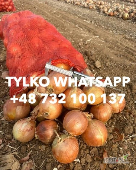 /images/posts/2025/07/2033562/fXziKj3TQDyf9p1nfKq1gHbtPIRT8dXvNzHTLqzM.jpeg