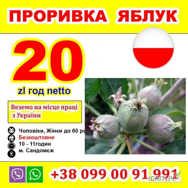 /images/posts/2025/07/2033460/kvSpVuToY6tOQphi0gJXb5AXlvhWW8FLDcUHr9BD.jpeg