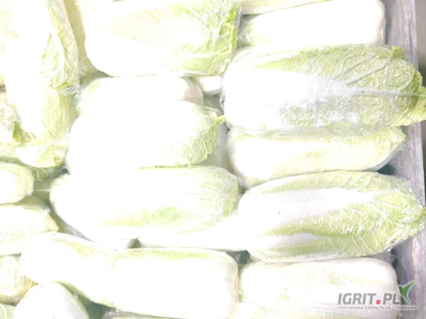 /images/posts/2025/03/1984284/pANlgadjL13LsoIgxZ42S165P5WB08W0uNTQsKum.jpeg