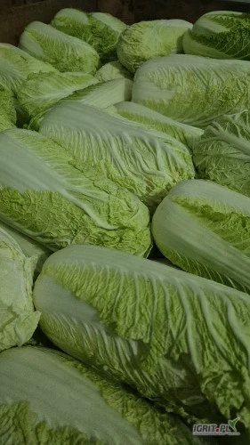 /images/posts/2025/03/1982130/mFe5oLSQZQXK3aY42irn37fUYkjySgjbfTRGRLeY.jpeg