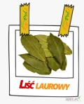 Sprzedam LIŚĆ LAUROWY 8,50 zl/kg .