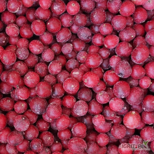 /images/posts/2025/07/2034244/lmNJQ7REonRlSFXF4DGcces6P3YXC5LSjHNgaE3z.jpeg