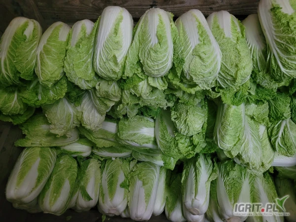/images/posts/2025/02/1969444/tFQadJPP3Dmq18pD0BoeUj7NNwexSTLpRRlLeY8U.jpeg