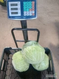 Sprzedam kapustę białą na kg kaliber 2.5-5kg szykowana na zamówienie możliwość transportu do 100km lub odbiór opakowanie dowolne...