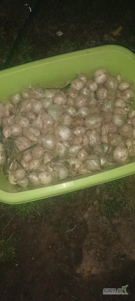 /images/posts/2025/07/2034462/mdnPwJyBtyqJmetWE5bdbme8g6fTLeZYFPkx2HE7.jpeg
