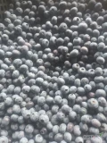 Sprzedam borowke 12+ sucha dziś ok 300kg 881093004