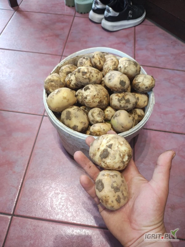 /images/posts/2025/05/2010459/WUCwojcgzjCMBNal8FoVLj51i508hszccmtAI1za.jpeg